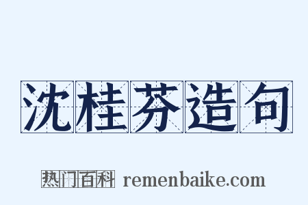 沈桂芬造句是什么意思的图片